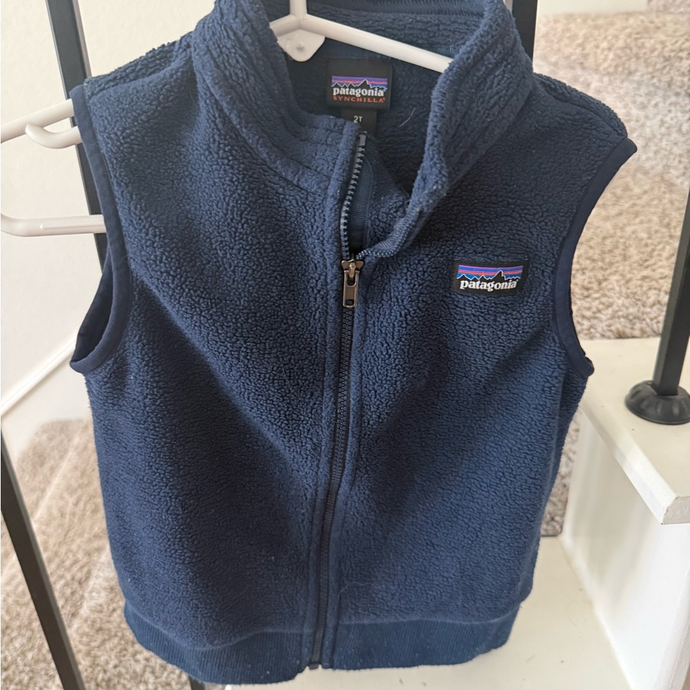 Patagonia Deep Blue Fleece Vest